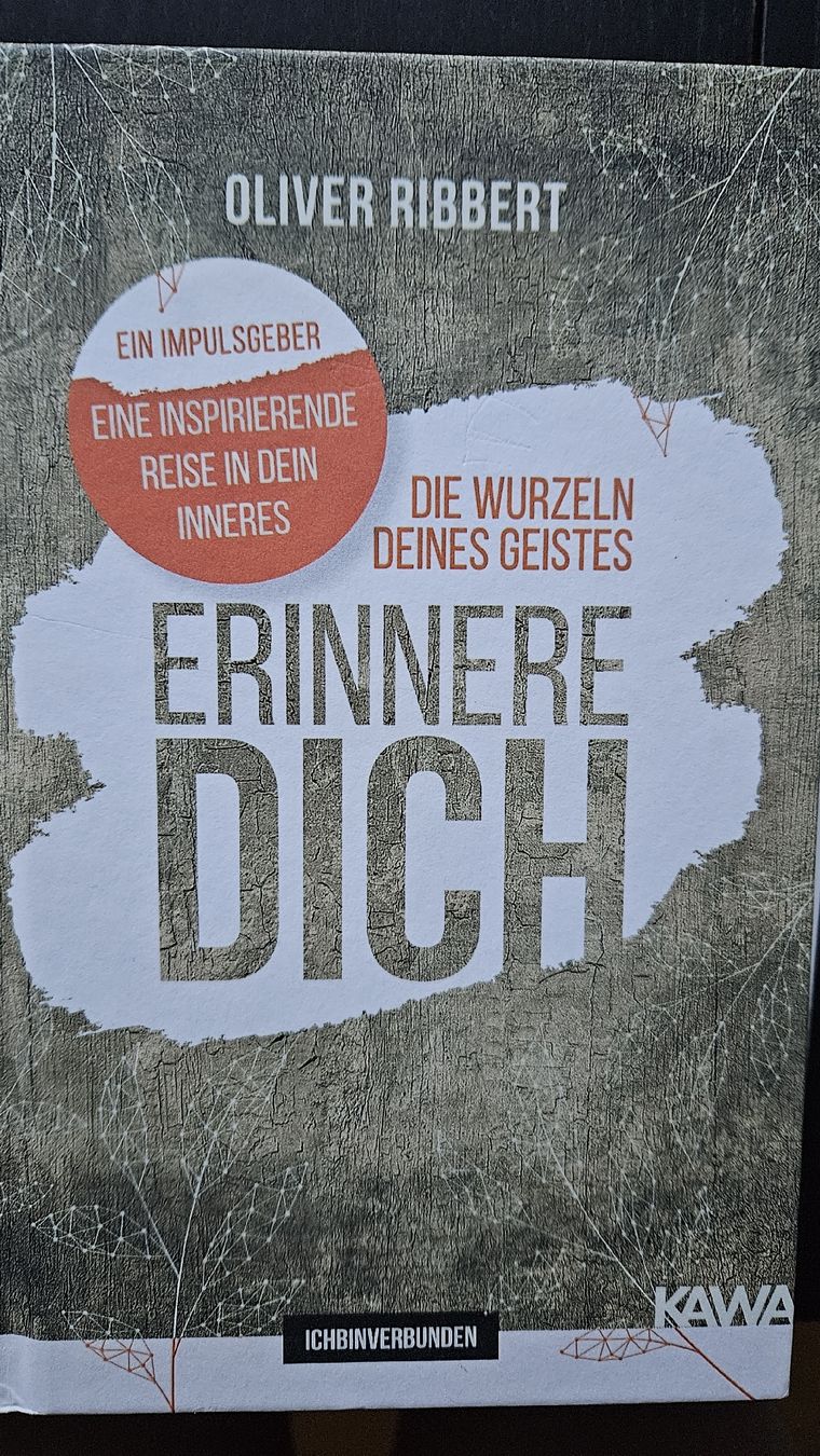 Libri: Bich Erinnere dich Oliver Ribbert – Usato da Hildisrieden venduto da Schteigeiss