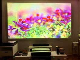 Elite Screens Aeon Edge Free zu verkaufen