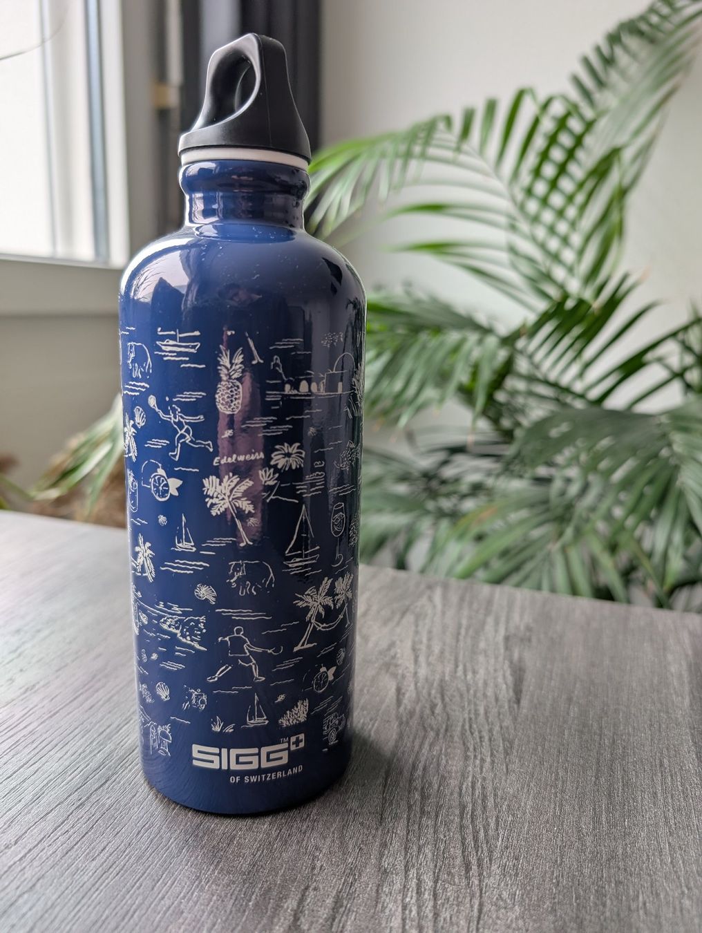 Sigg Trinkflaschen & Thermosflaschen: Metall-Trinkflasche – Gebraucht aus Zürich von Dual-Input