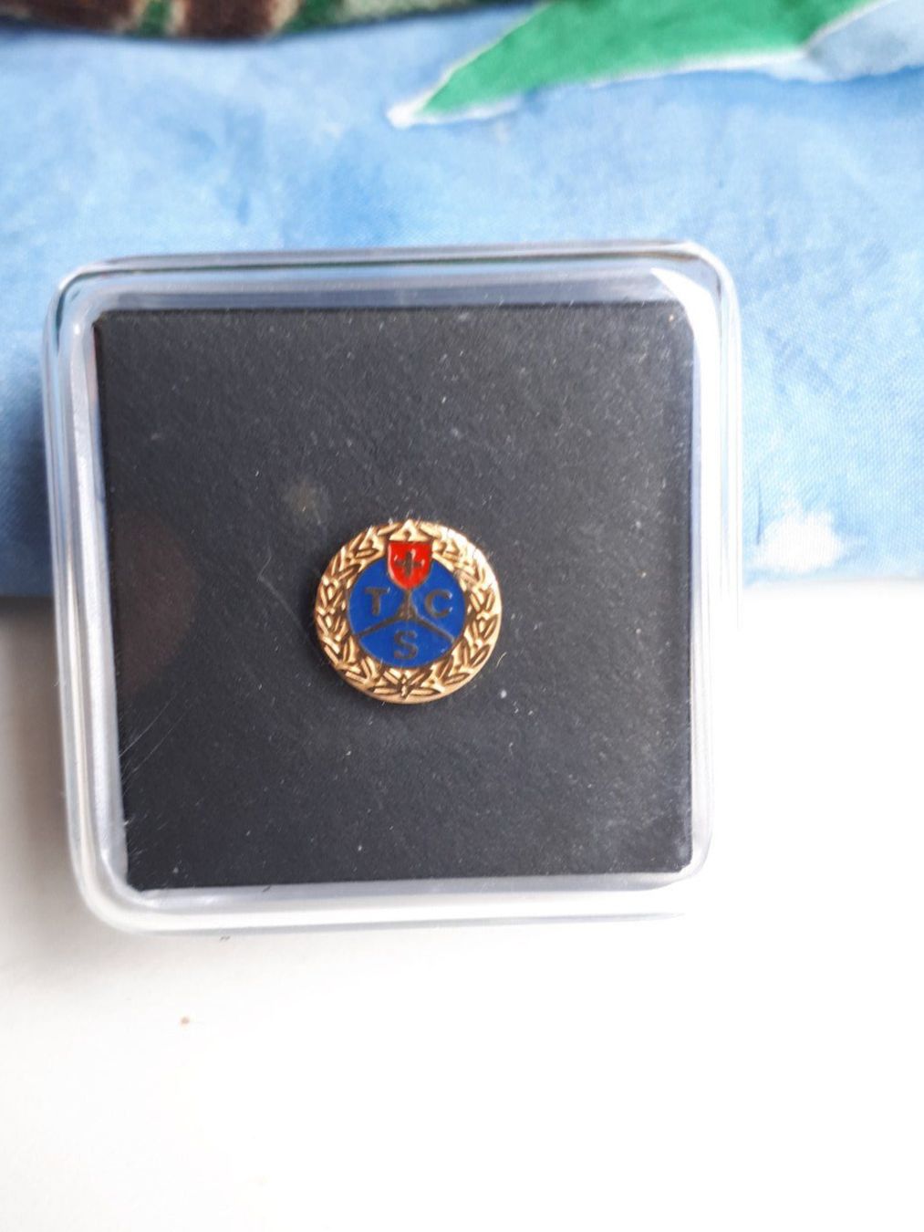 TCS Placchette & Badge: TCS Anstecknadel, Sammlerstück – Usato da Weiningen ZH venduto da Annakatharina 1
