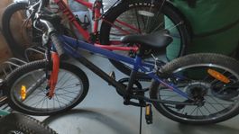 Velo 20 Zoll