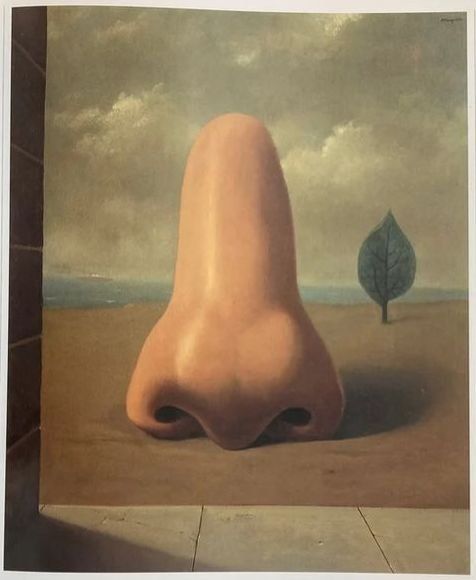 Libri: Magritte - Monografie, von David Sylvester, originalverpackt – Usato da Oberriet SG venduto da ganesh435 4