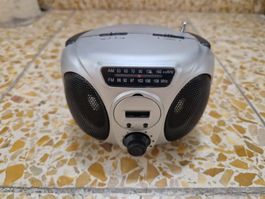 AM / FM Mini Radio