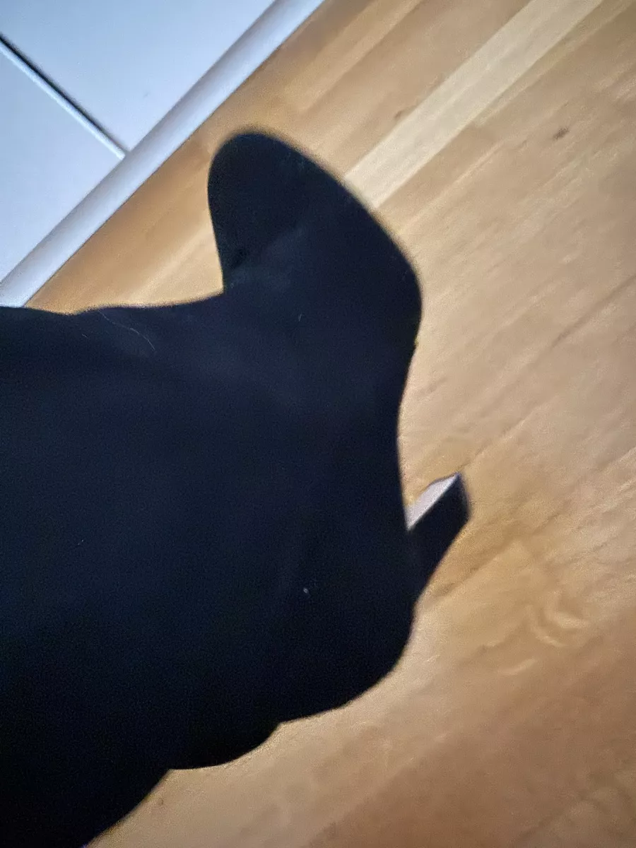 Stuart Weitzman Damenschuhe: Boots Stuart Weitzman, size 38 – Gebraucht aus Zürich von ifi_zp8b 3