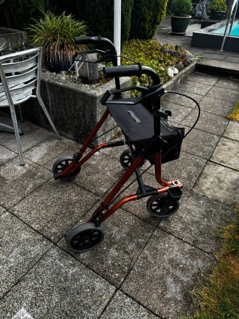 Gehhilfen: Rollator/Gehhilfe von DIETZ, Modell Taima M – Gebraucht aus Uetikon am See von ber_62cf 3