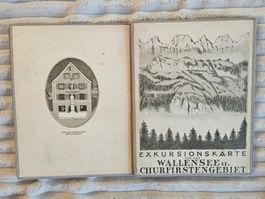 SWISSTOPO Karte Walensee Churfisten Walenstadt Weesen selten