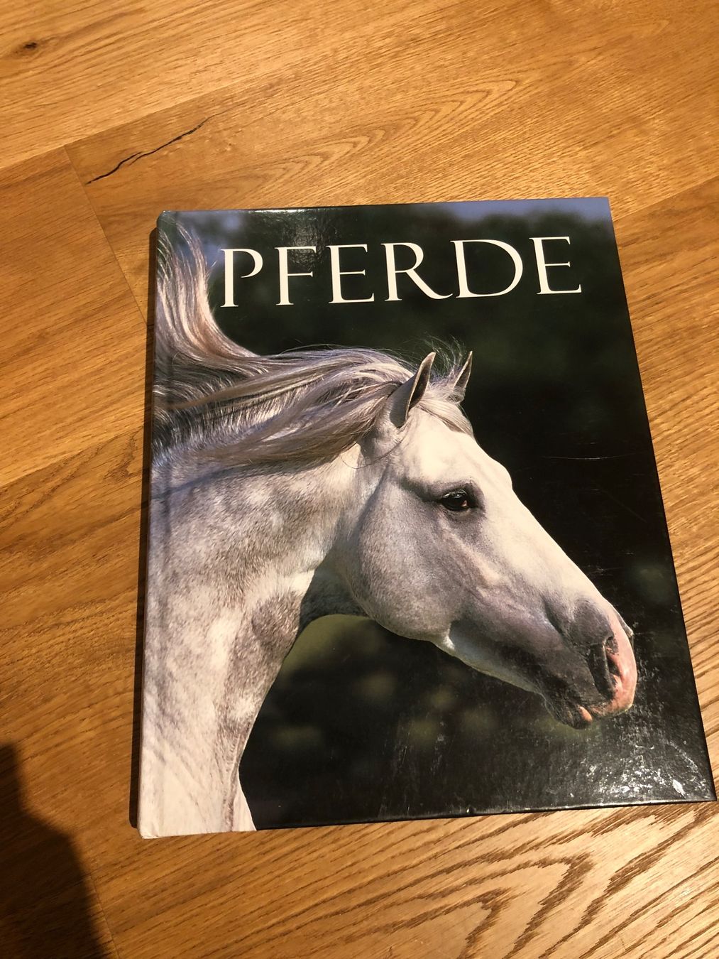 Libri: PFERDE-BILDBAND – Usato da Wattwil venduto da jopara