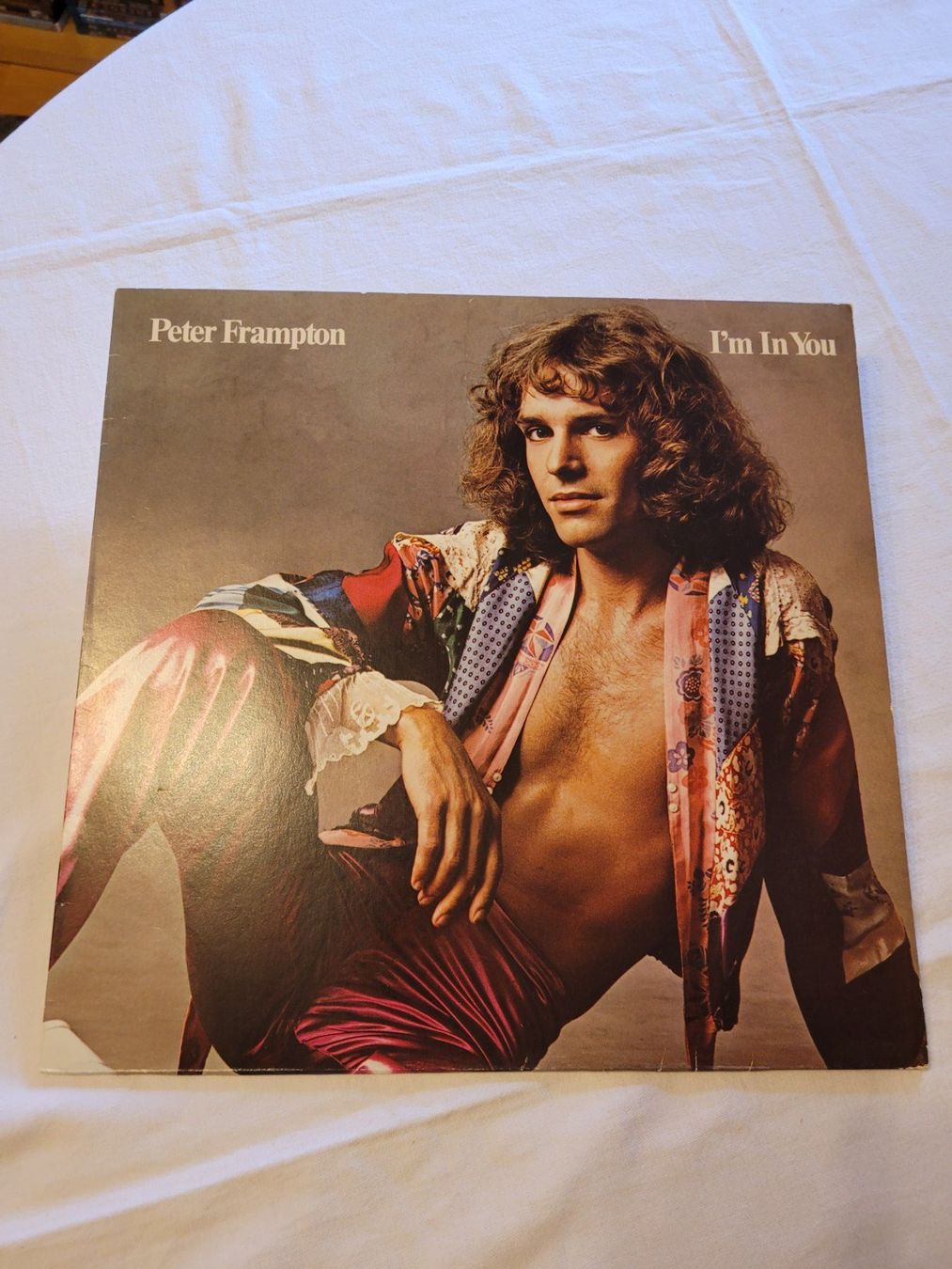 Dischi in vinile: Vinyle Peter Frampton I'm in You 33T – Usato da la Chaux-de-Fonds venduto da Lampe