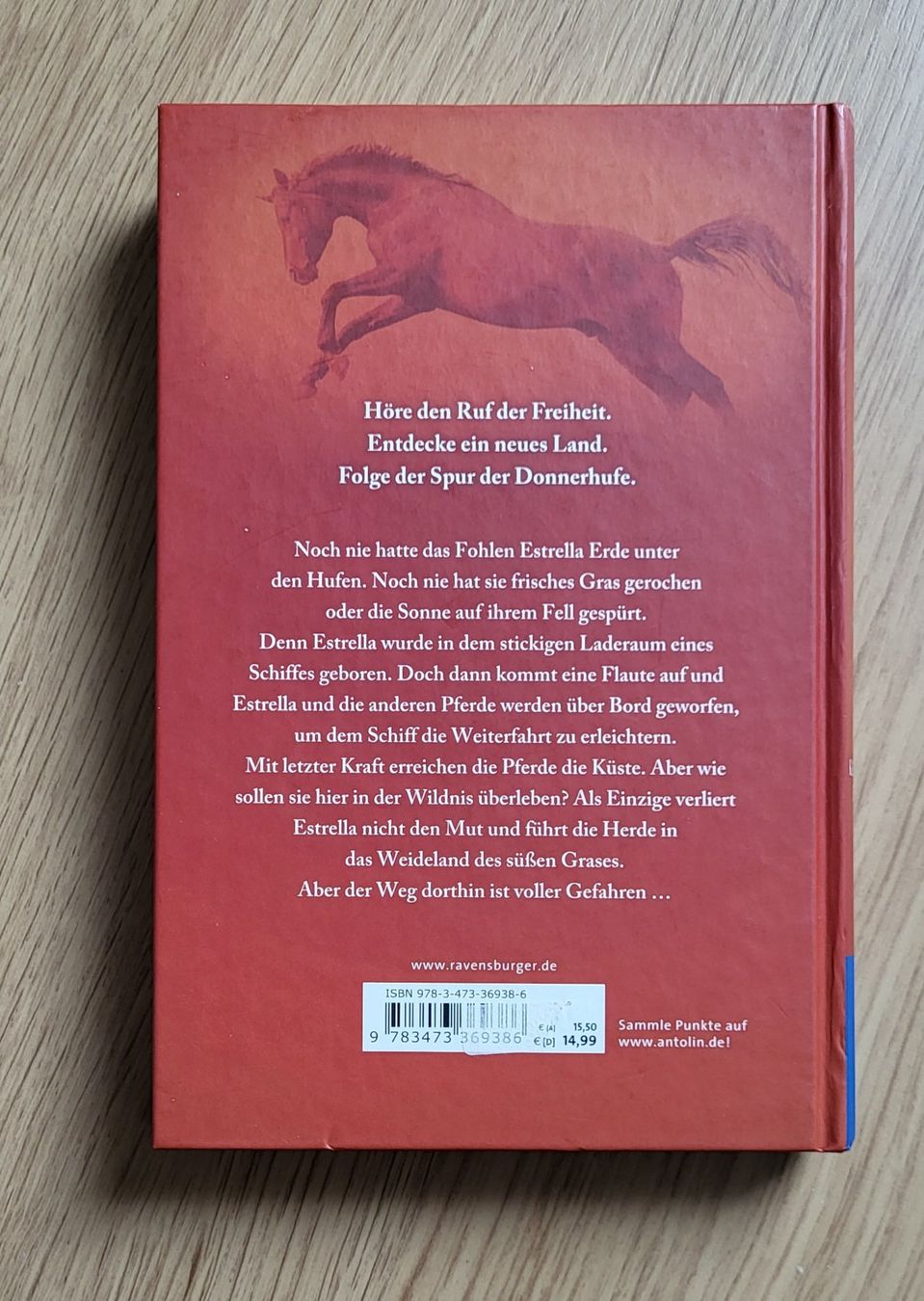 Libri: Die Spur der Donnerhufe: Flammenschlucht – Nuovo (secondo la descrizione) da Biberist venduto da Nicelotti 1