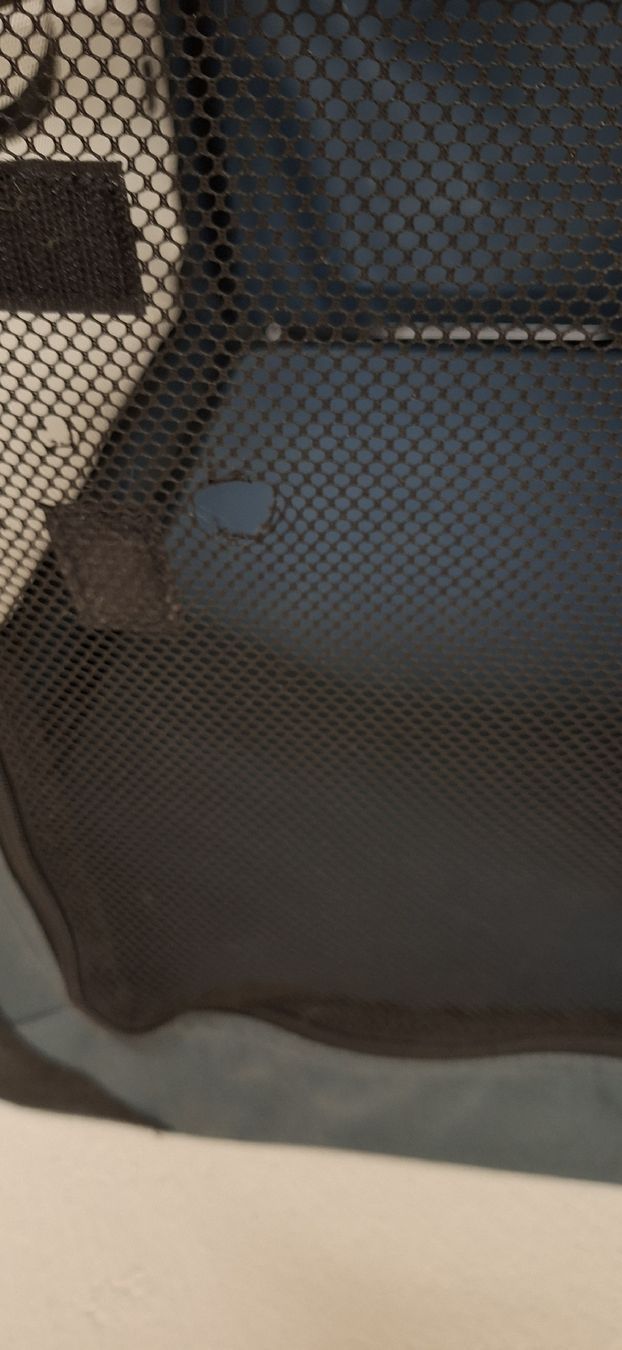 Cucce & Letti: Grosse Hundebox – Usato da Spreitenbach venduto da Sternwandler 2