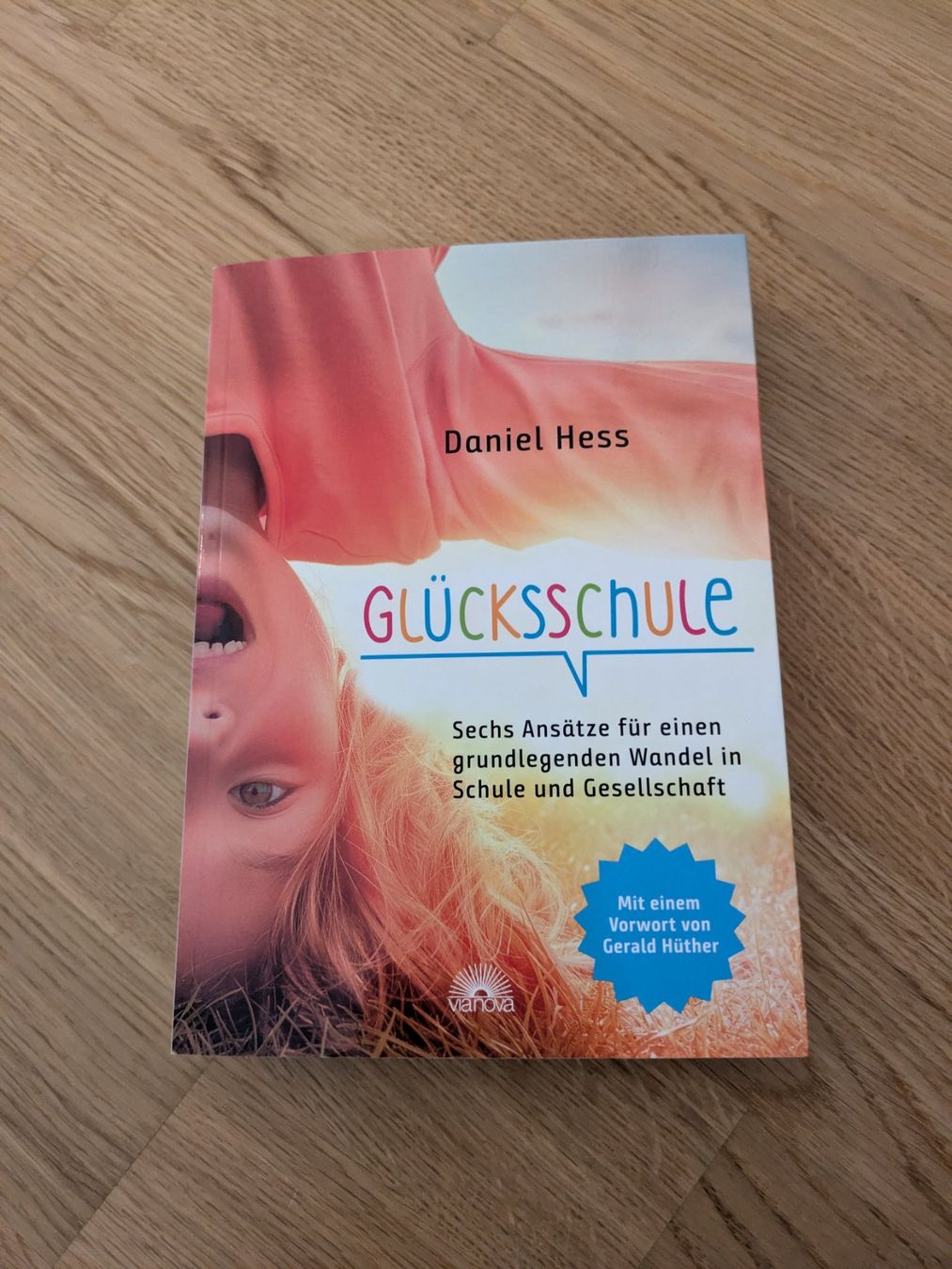 Bücher: Glücksschule - Daniel Hess – Gebraucht aus Rain von sin_1803