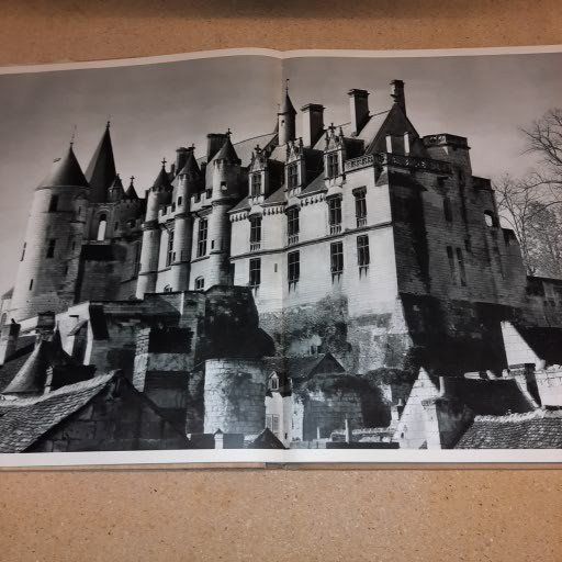 Libri: Buch, Le Chateau de la Loire – Usato da Kilchberg ZH venduto da Ernzi47 2