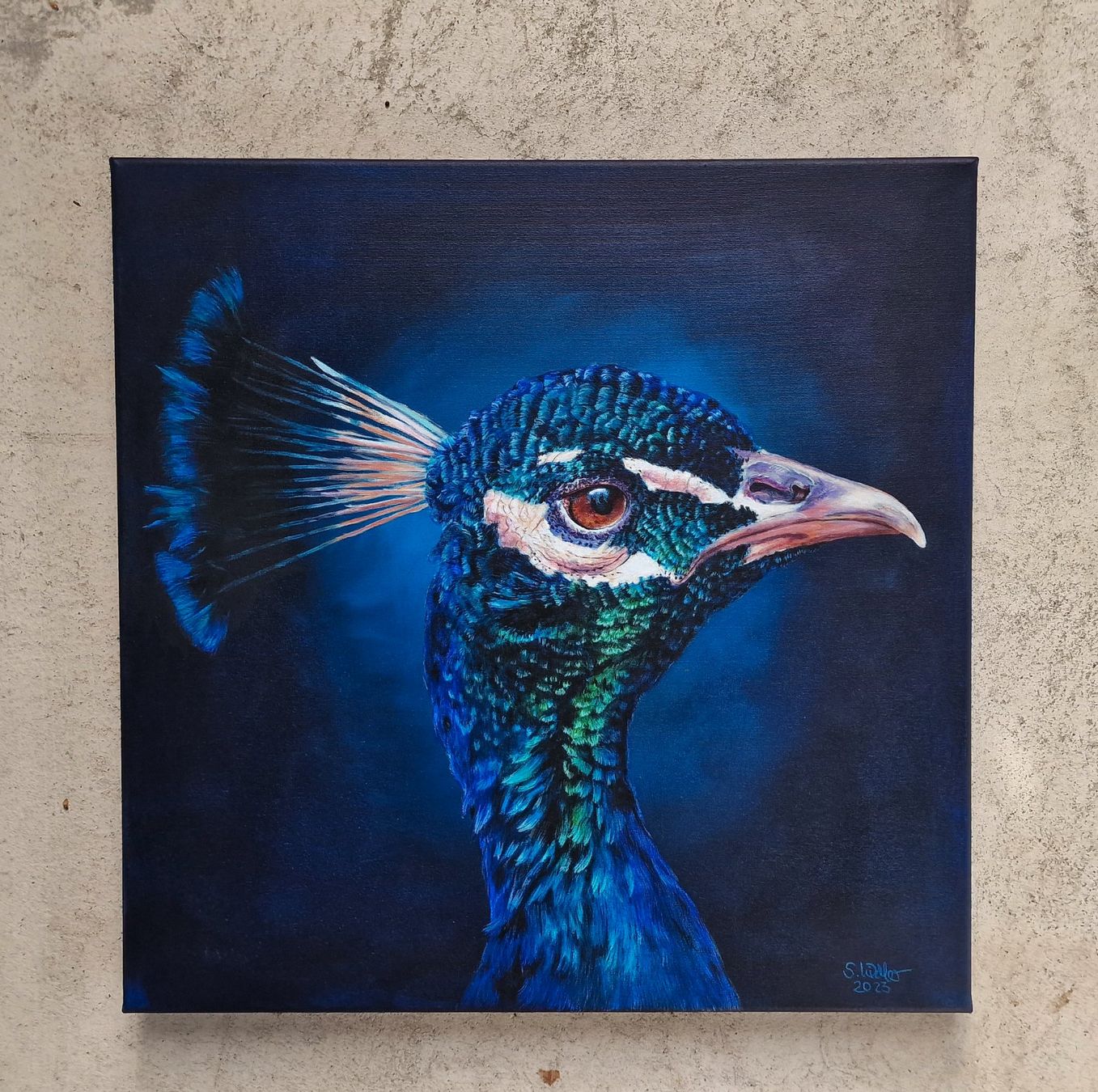 Dipinti: Originales Gemälde: Pfau - 50 x 50 cm – Nuovo e nell'imballaggio originale da Tägerwilen venduto da Simone_Widler_Art 2