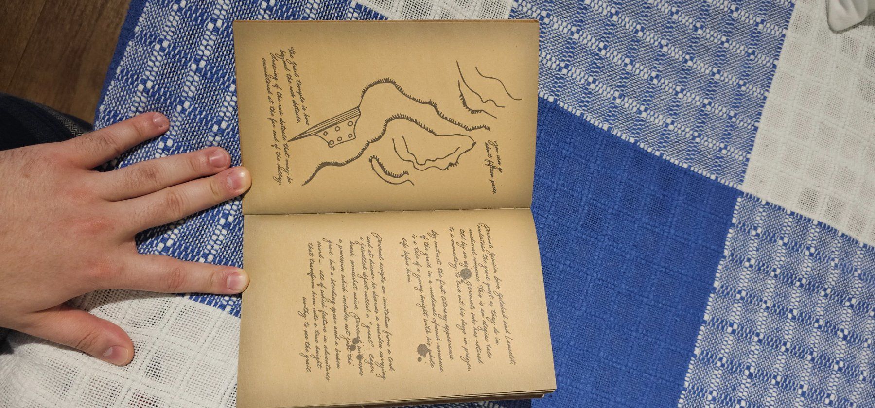 Libri: Grail Diary - Indiana Jones – Usato da Zürich venduto da lf_swisscollector97 1