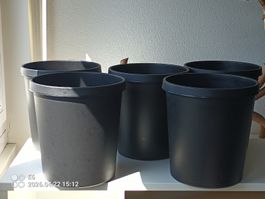 5 Büro-Papierkõrbe