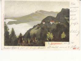 Bürgenstock 1905