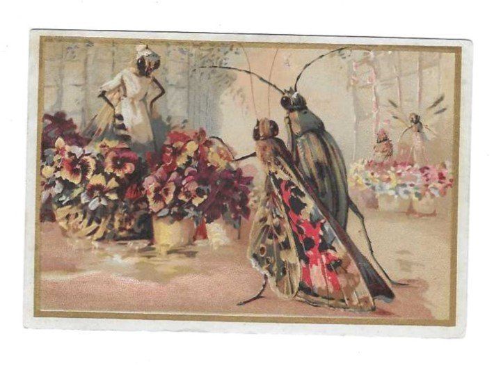 Grafica & Litografie: Carte publicitaire - Chromo – Usato da Genève venduto da edelweiss1900
