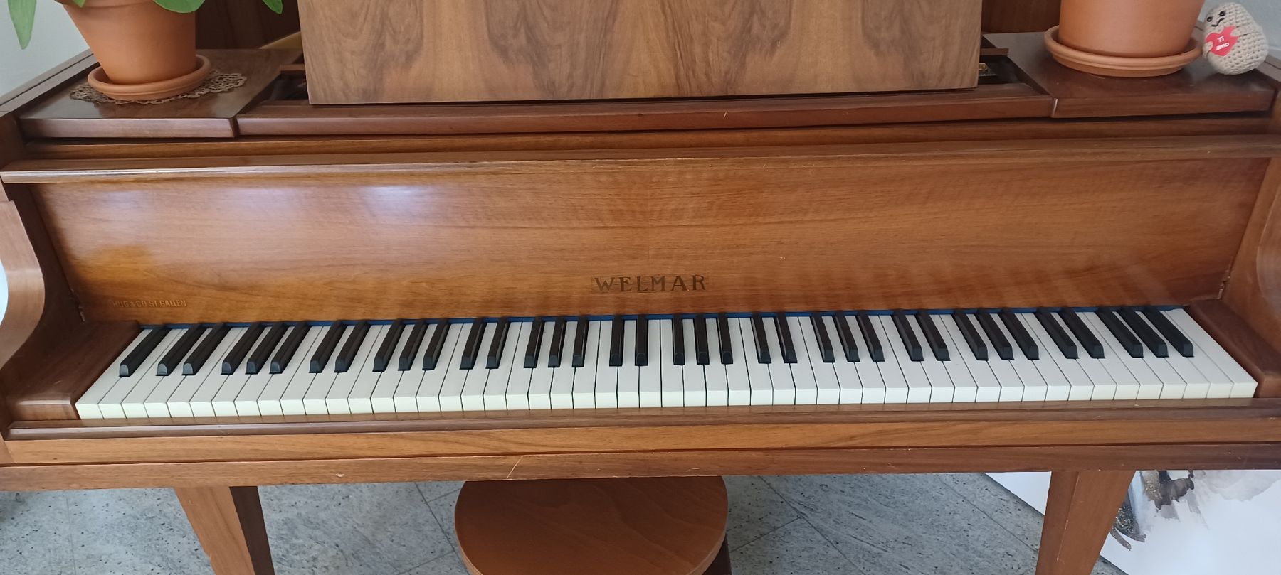 Strumenti musicali: Flügel(klein) – Usato da Biel-Benken BL venduto da Live010 5
