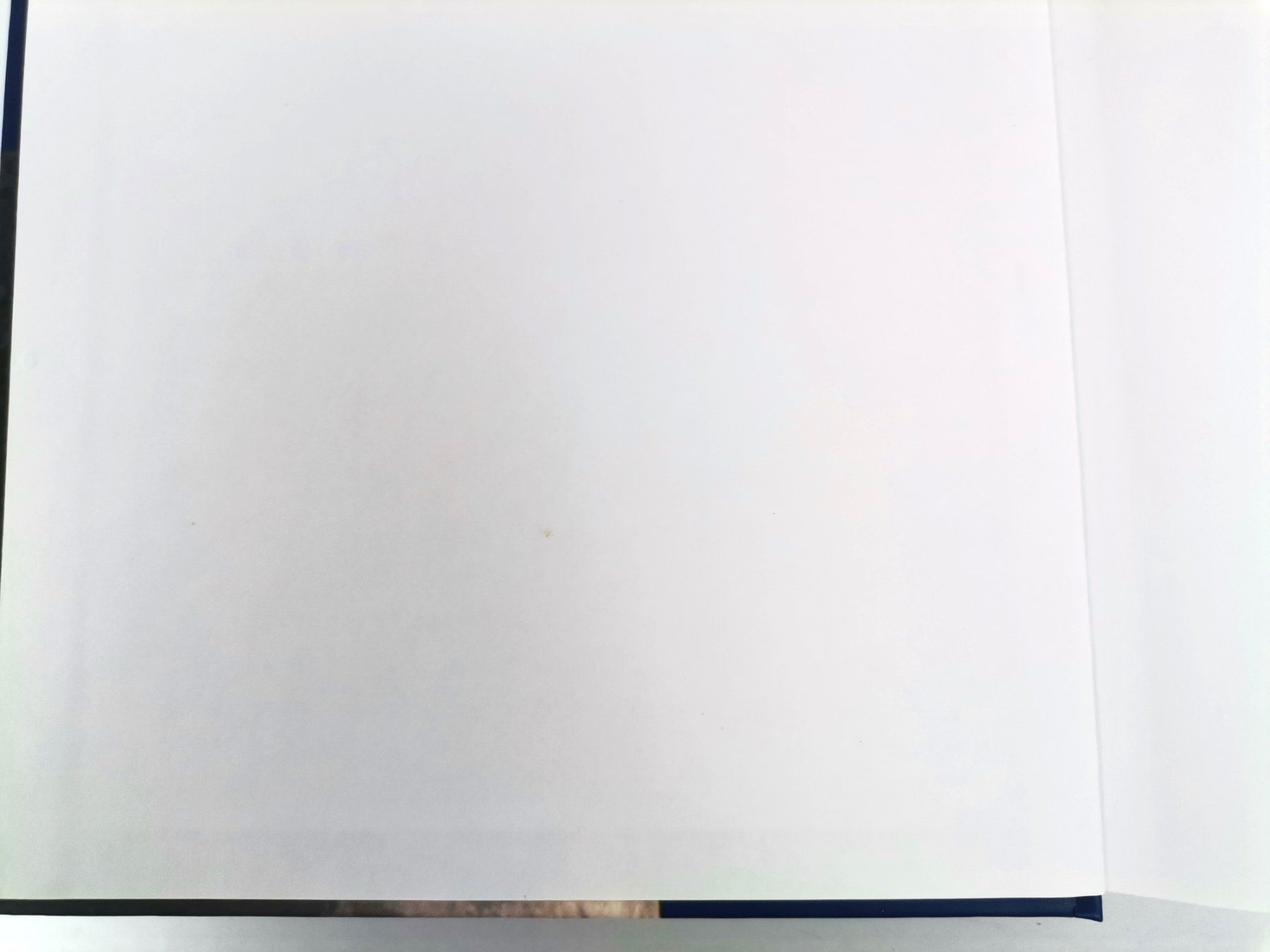 Libri: Buch Warum leuchten Sterne? Bernhard Mackowiak – Usato da Schaffhausen venduto da Restwert_SH 5