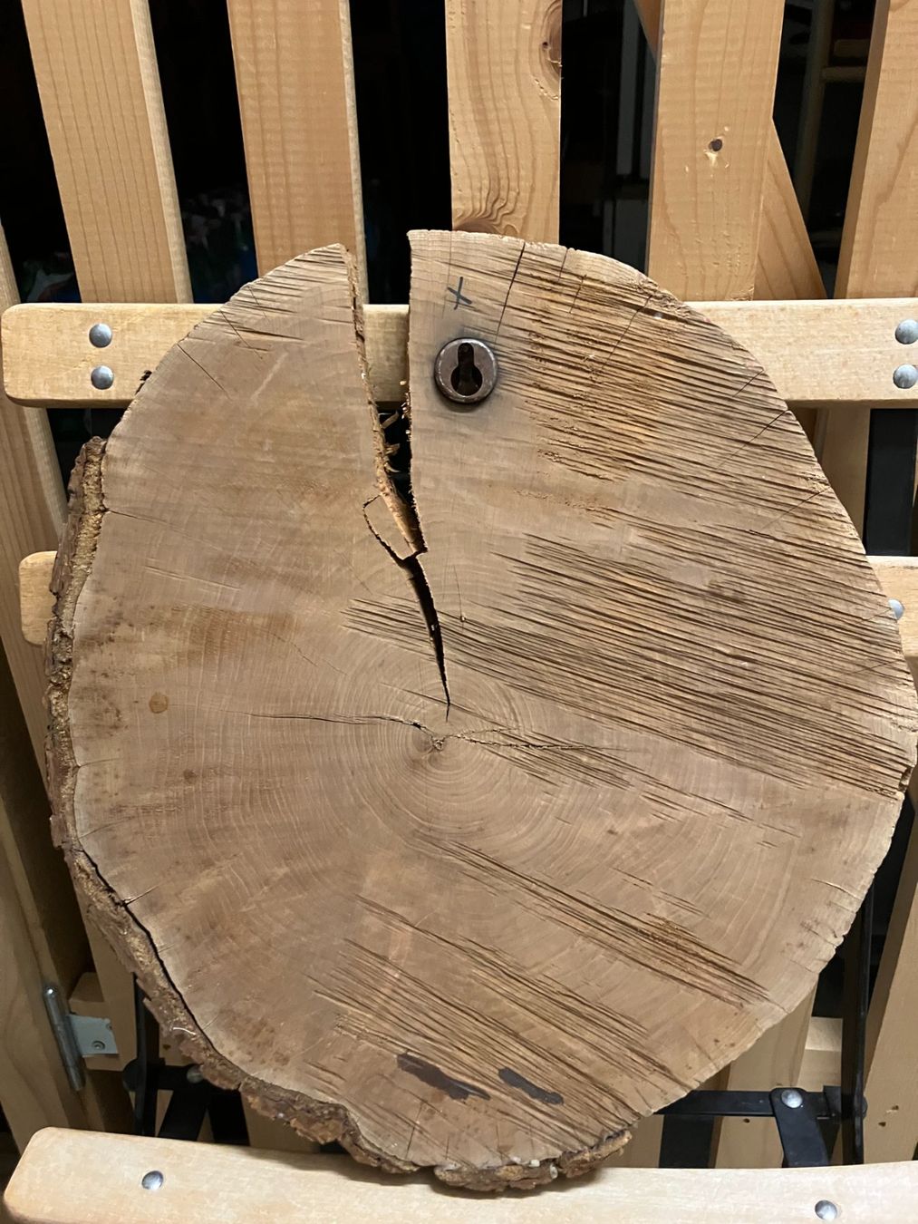 Articoli in legno: Holzdeko Baumscheibe geschnitzt rustikal Unikat – Usato da Luzern venduto da gil_9jtr 1