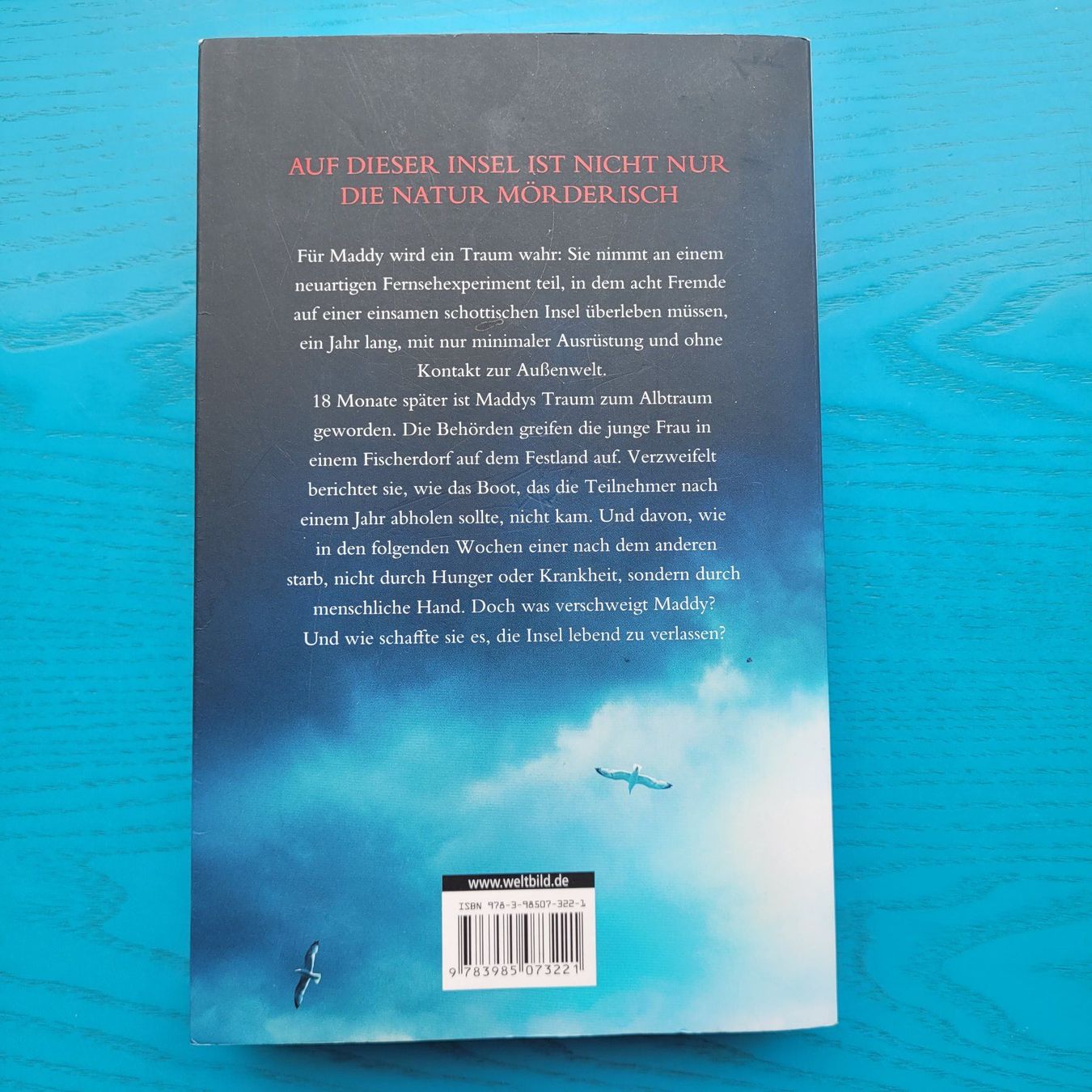 Libri: Sarah Goodwin- Die Insel – Usato da SCHÜBELBACH venduto da CoKaHa 2
