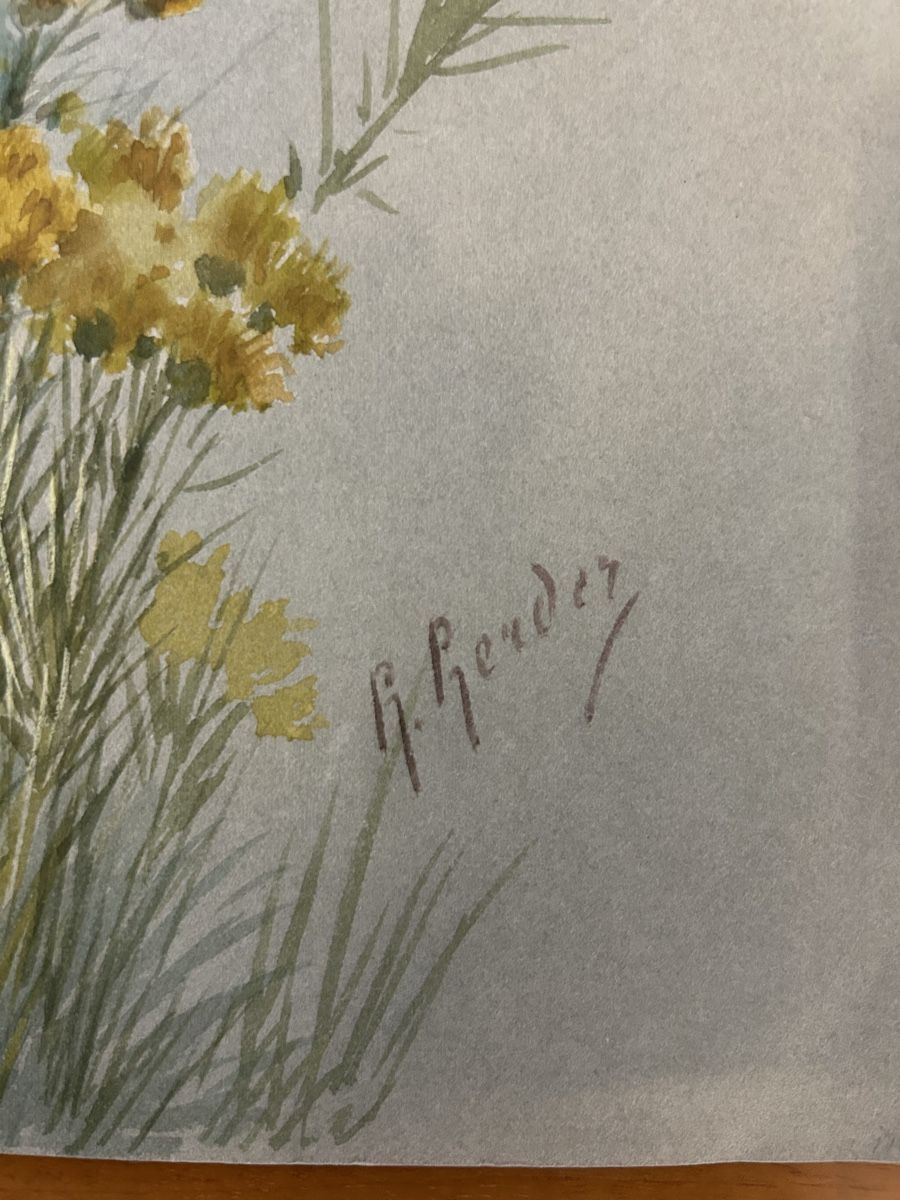 Posters & Illustrations: Blumen Bilder von B. Gender – D'occasion à Zürich par BashasBrockenhaus 4