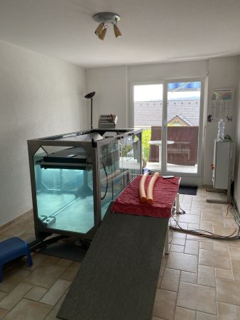 Keiper Unterwasserlaufband für Hunde
