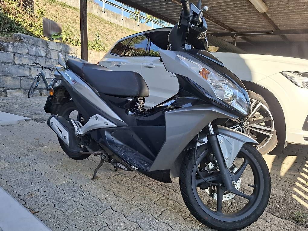 Honda Scooters: Roller Honda 50 ccm – Gebraucht aus Biberstein von zob_895c