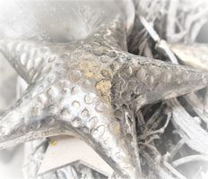 (KOPIE) Deko silber  Seestern
