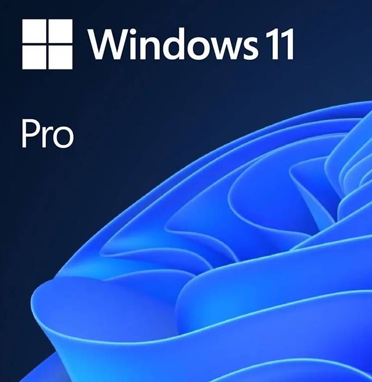 Software: Windows 11 Pro PC Key – Usato da Au ZH venduto da yan_rm8l