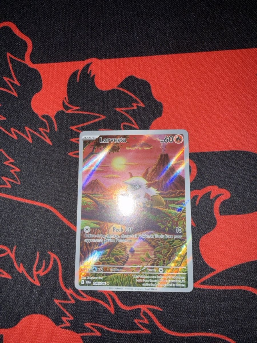 Pokémon Cartes à collectionner: Larvesta EN – Neuf (Voir description) à Basel par ari_s727
