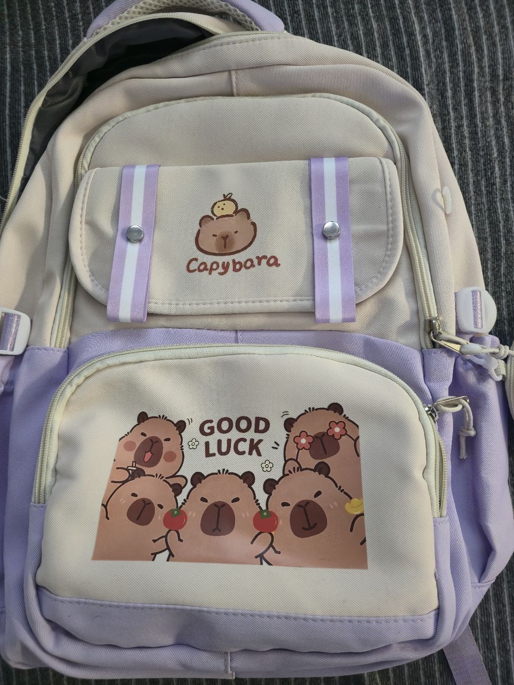 Borse & Zaini: Capybara Rucksack/Schultasche, – Usato da Ehrendingen venduto da Ince2016