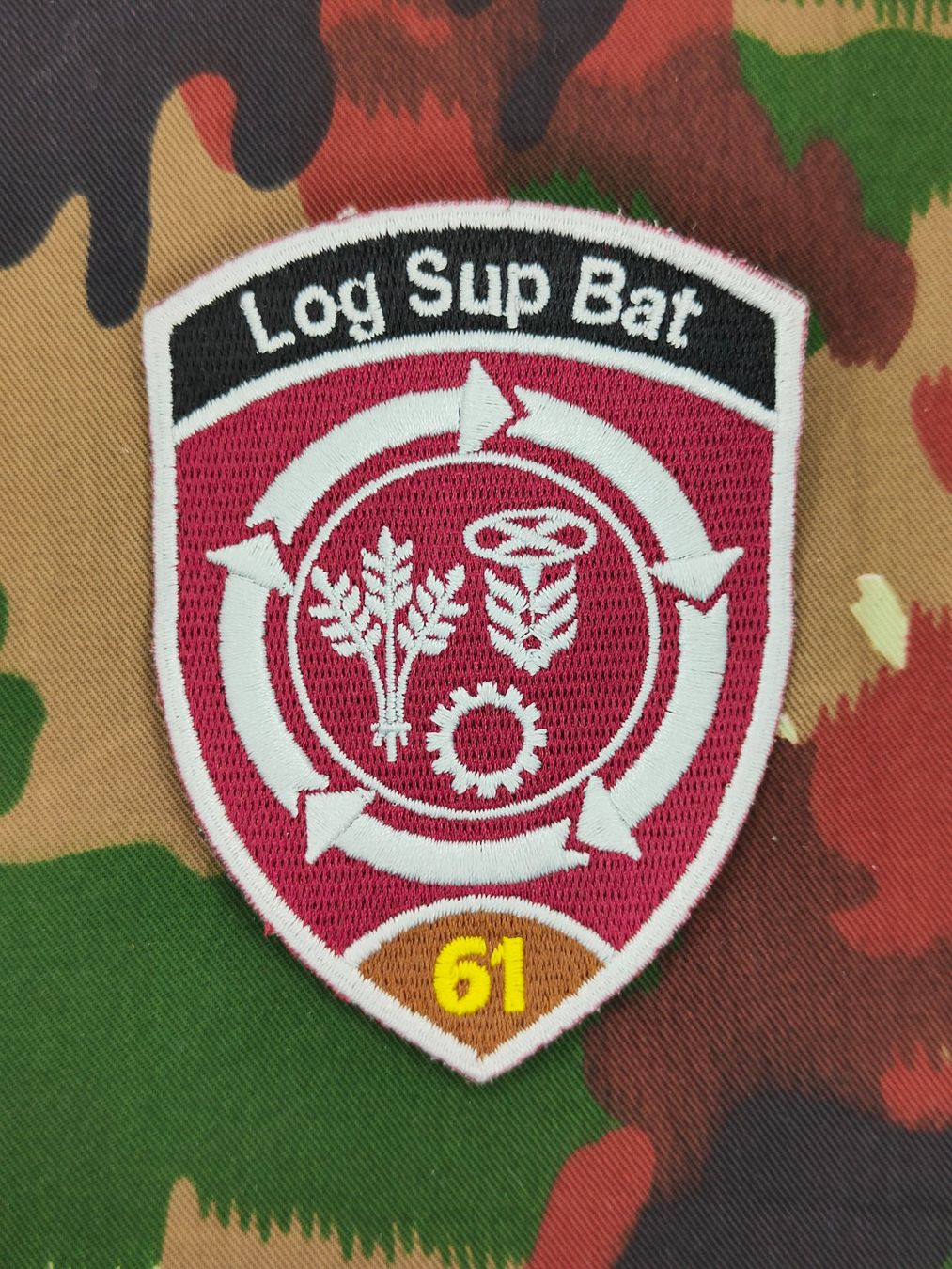 Schweizer Armee Placchette & Badge: Verbandsabzeichen Log Sup Bat 61 Kp 2 – Usato da Bauma venduto da SwissMilitaria