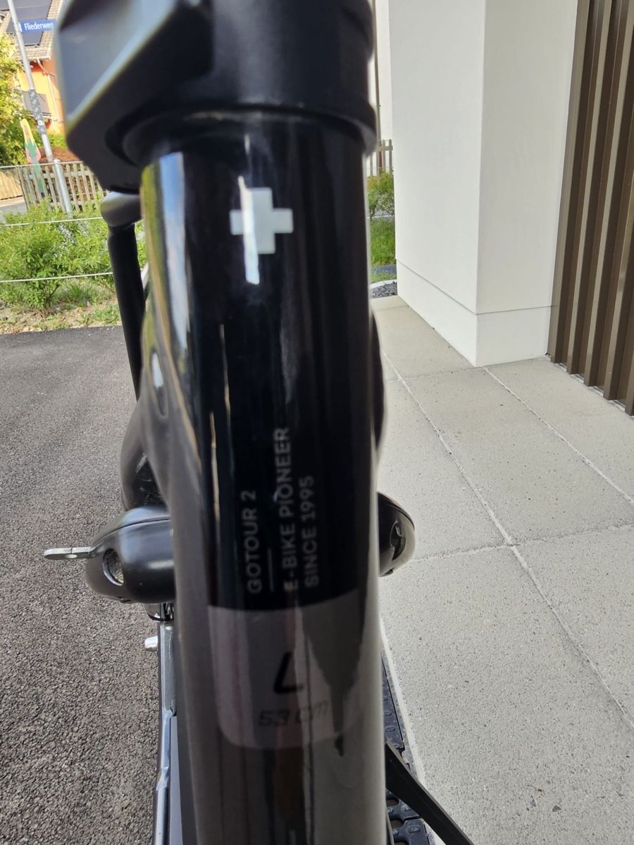 Flyer Biciclette: E-Bike Flyer – Usato da Bern venduto da ser_7vtn 5