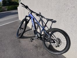 Trek Elektrobike  Marlin8 Kaufjahr 2026 Grösse S