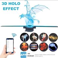 Holo-Fan 3D HD 43CM WiFi – Impact Visuel Unique