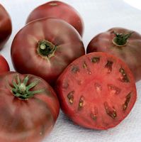 50 Samen Schwarze Tomate CARBON