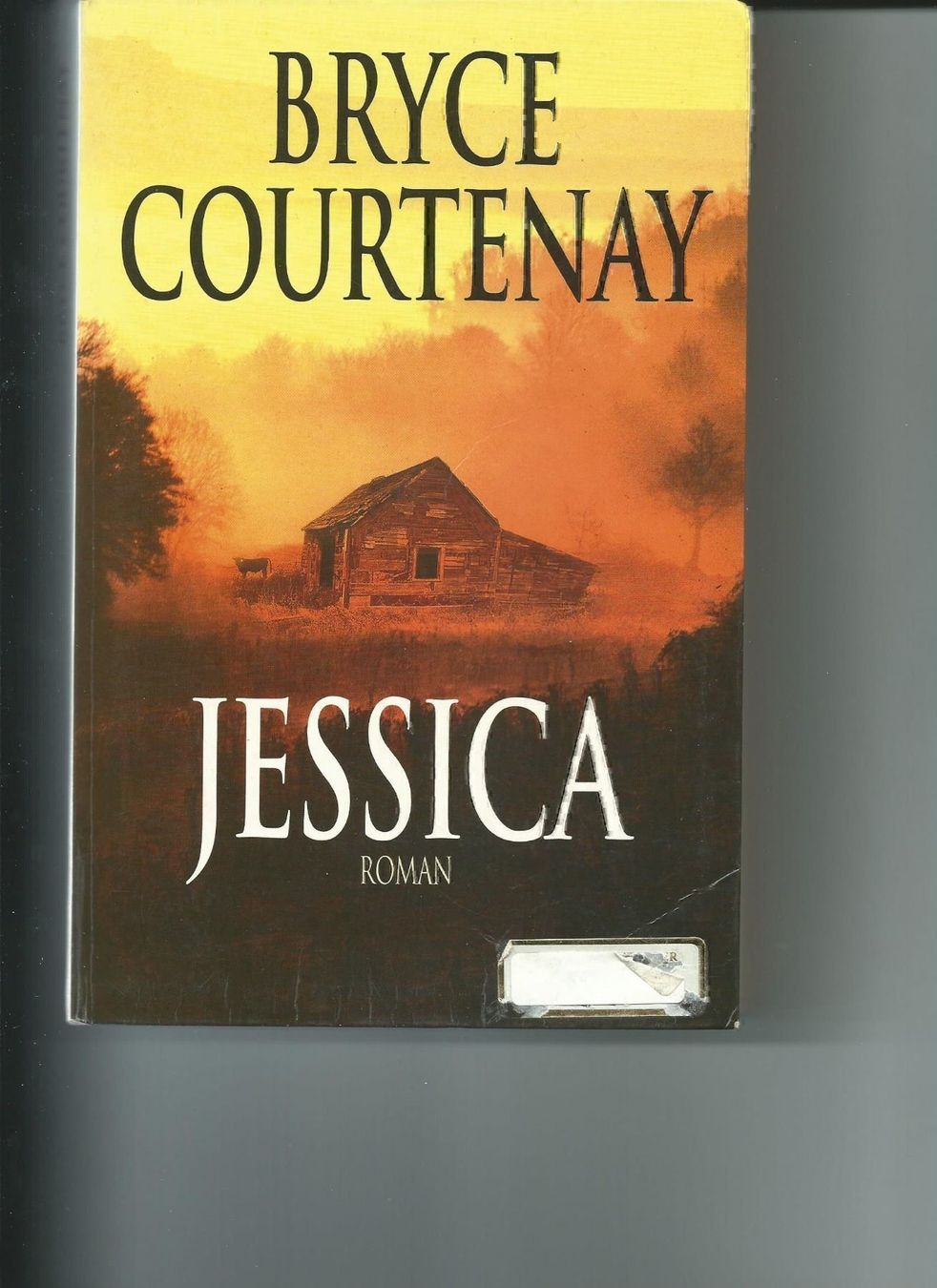 Libri: JESSICA de Bryce Courtenay – Usato da Yverdon-les-Bains venduto da Monique6