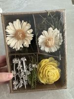 Getrocknete Blumen in einer dekorativen Box | NEU! 🌟