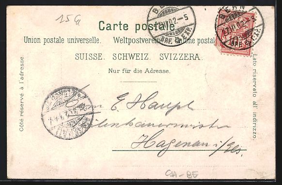 Cartoline postali: Litho Bern, Strassenpartie am Tor mit Br – Usato da Berlin venduto da bartko-reher 1