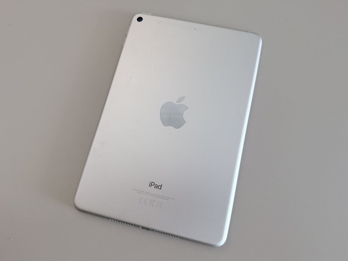 Apple Tablet PC: Apple iPad mini 5. Generation 256 GB Silber gebraucht – Usato da Muri b. Bern venduto da uthiny 1