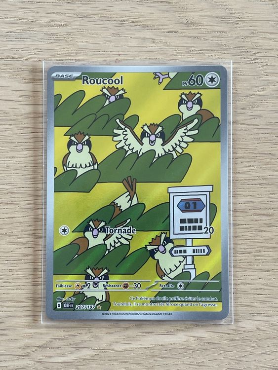 Carte Pokemon Roucool 207/197 | Kaufen auf Ricardo