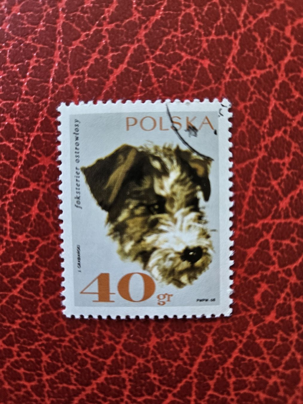 Alle Briefmarken: Briefmarke Polen Foxterrier 40gr  – Gebraucht aus Heimenschwand von chr_p2jp