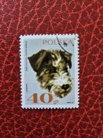 Briefmarke Polen Foxterrier 40gr 