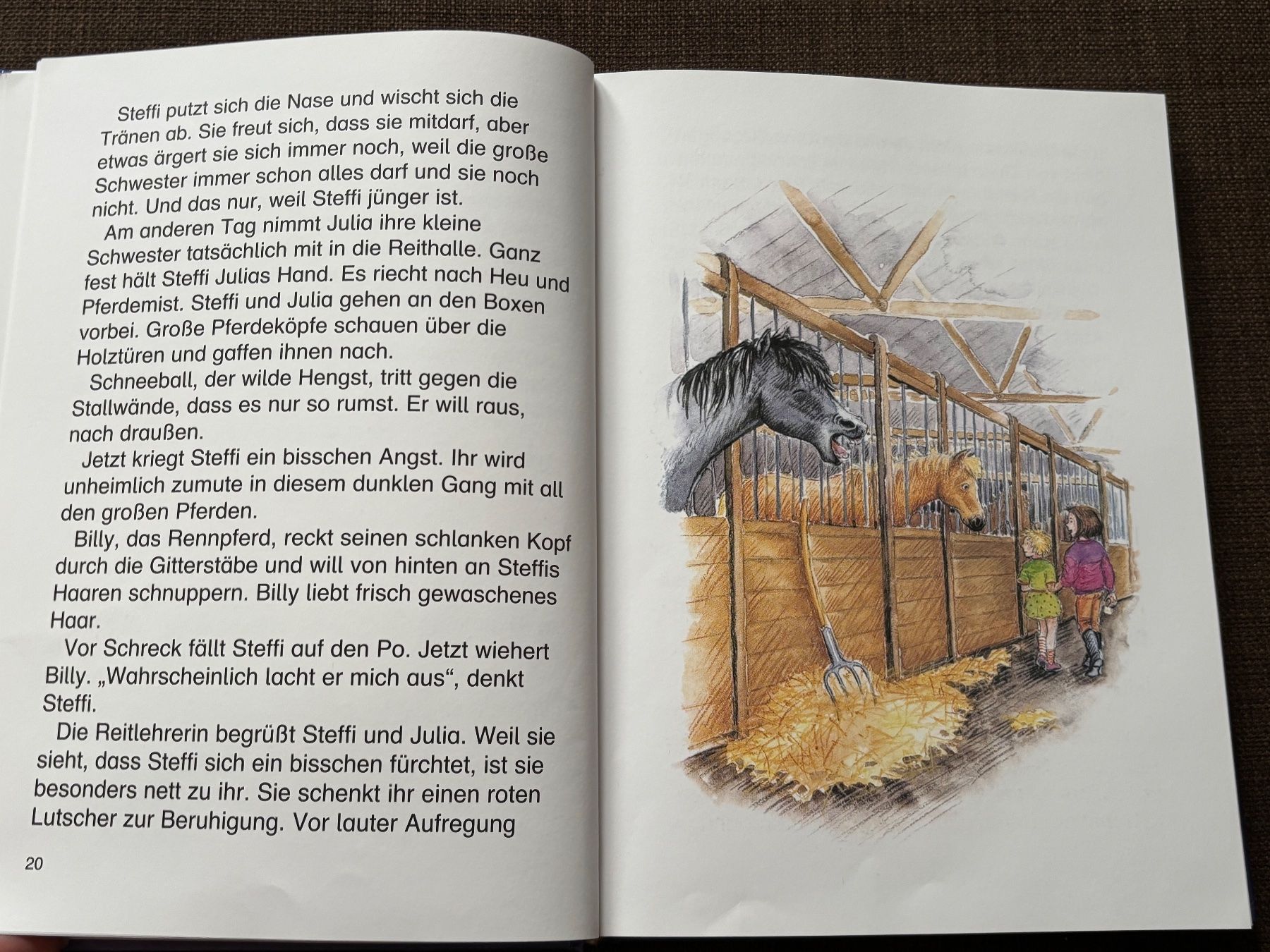 Livres: Leselöwen Geschichtenbuch – D'occasion à Genève par Livsonman 3
