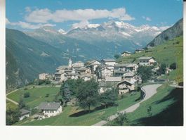 Viano 2006