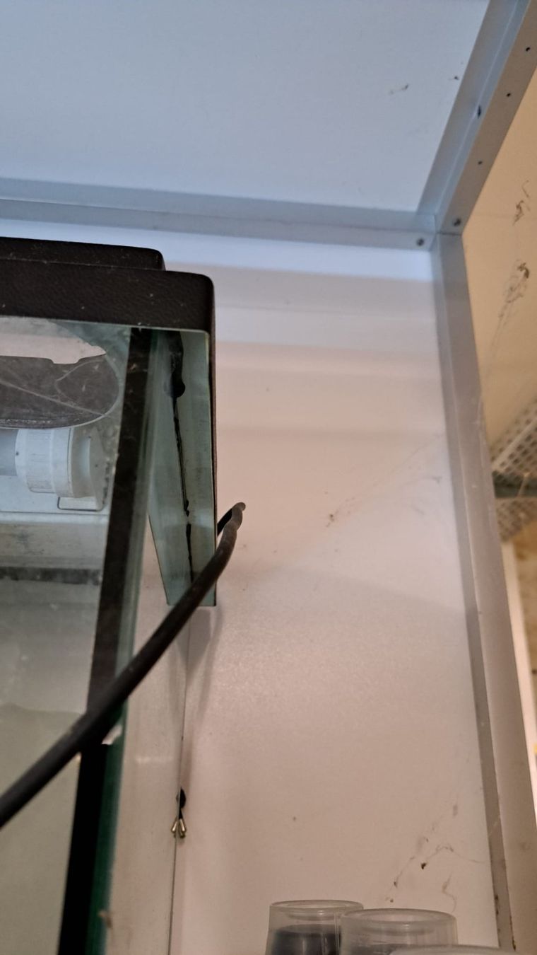 Aquarium: Aquarium – D'occasion à Oberentfelden par Myri13 2