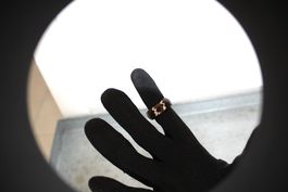 Ring Gr. 66 -21