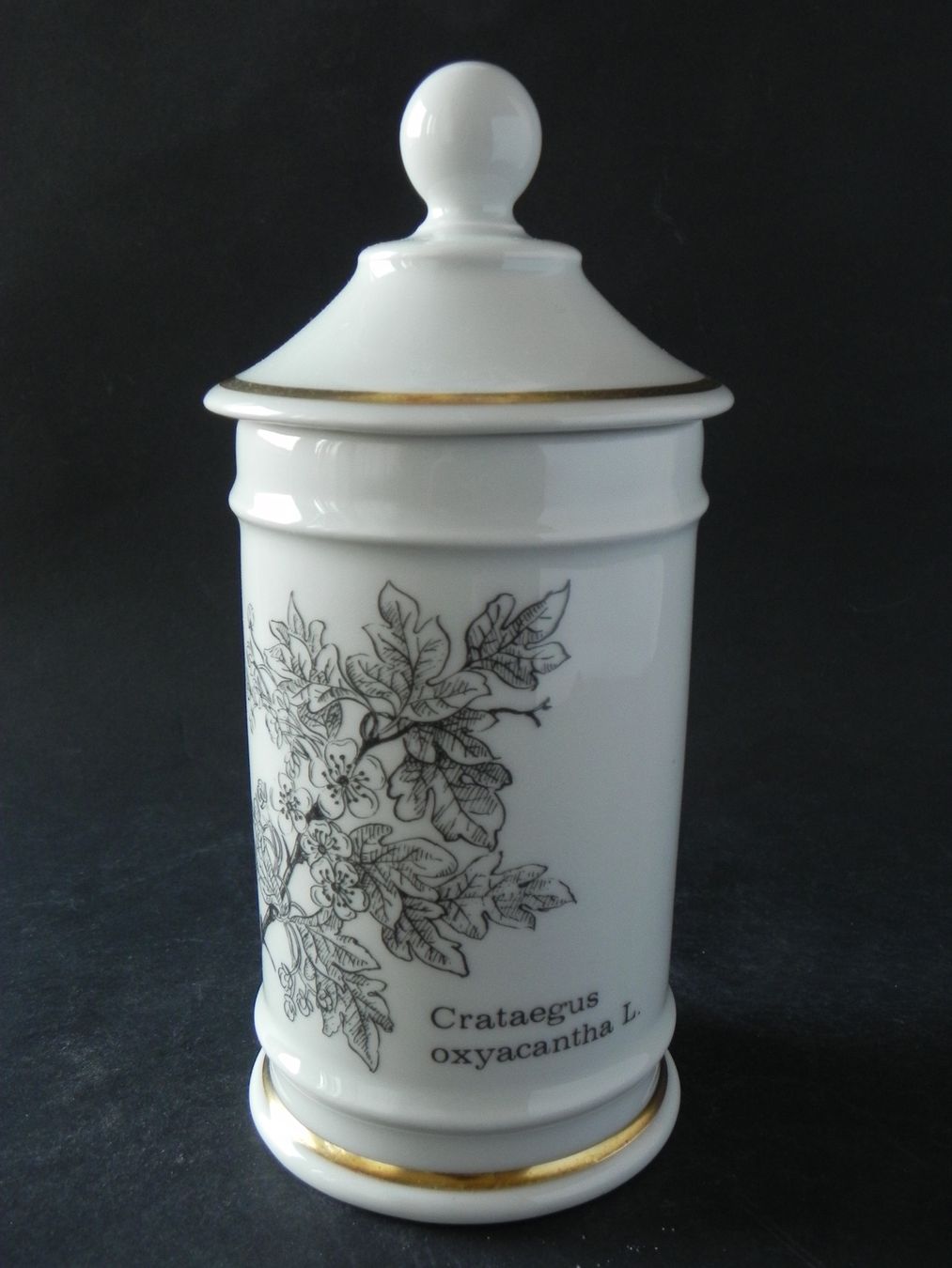 Tutte le decorazioni: Langenthal Dose mit Deckel - Sujet Crataegus oxyacantha L. – Nuovo (secondo la descrizione) da Zürich venduto da LodgE-21
