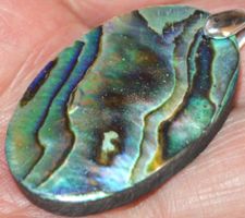 Anhänger L-5653 – Abalone Muschel 37x22mm
